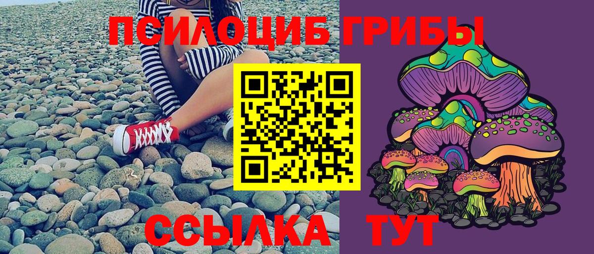 Псилоцибиновые грибы ЛСД Нижний Новгород